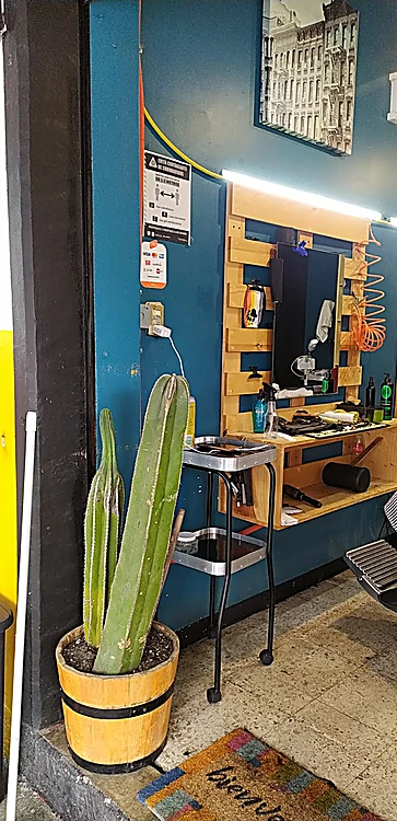 Estación con espejo de tarima y un nopal en barrica junto a la entrada